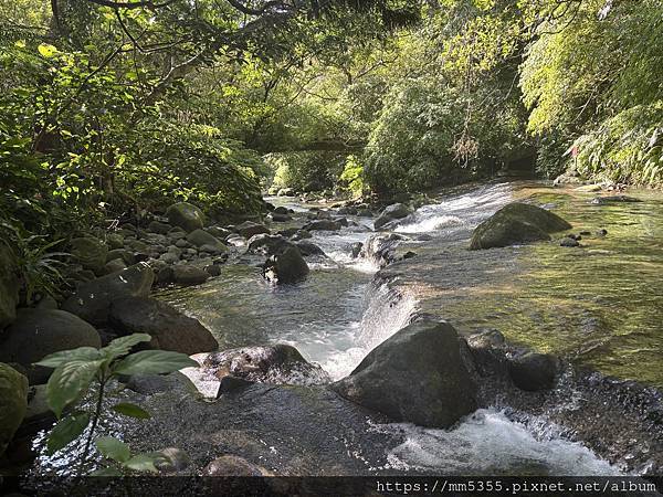 台北市永公路狗殷勤步道--1141123