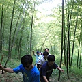 1000606金面山 (11).JPG