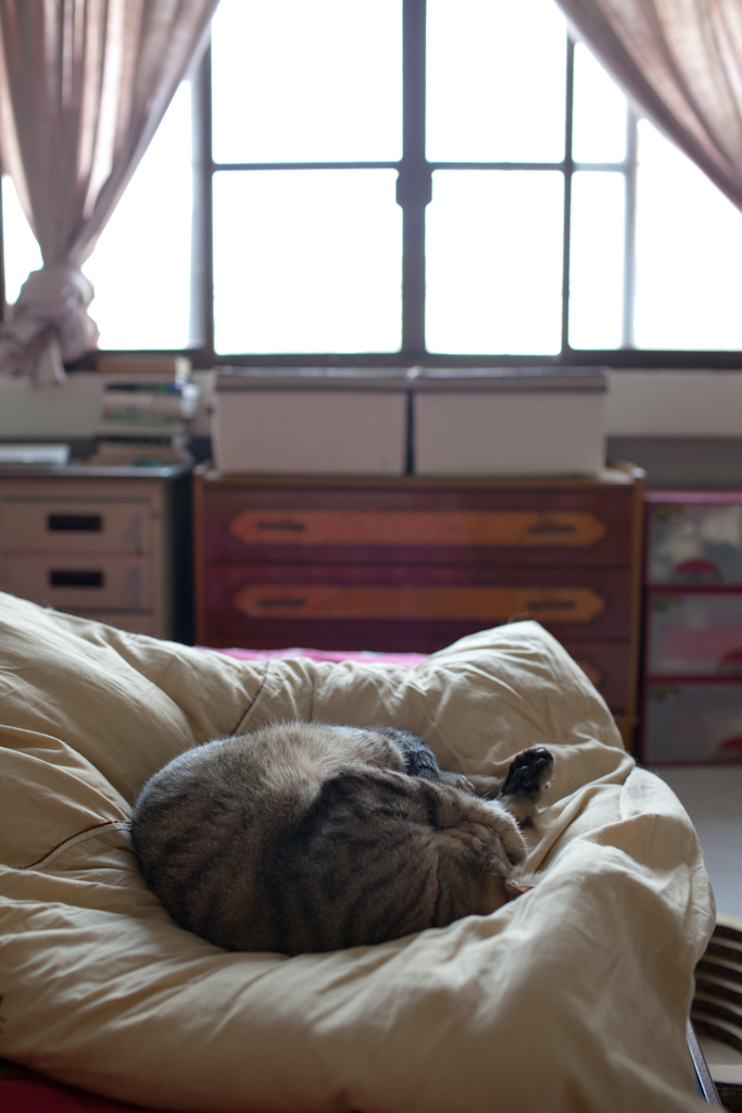 IMG_2558.jpg IMG_2558.jpg