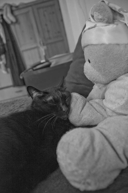 IMG_3048.jpg IMG_3048.jpg
