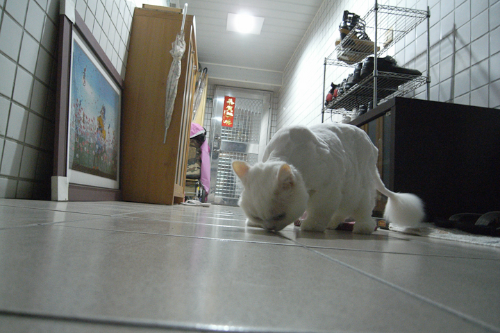 R0016975.jpg R0016975.jpg