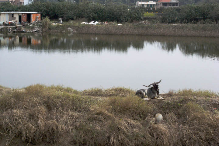 R0017604.jpg R0017604.jpg