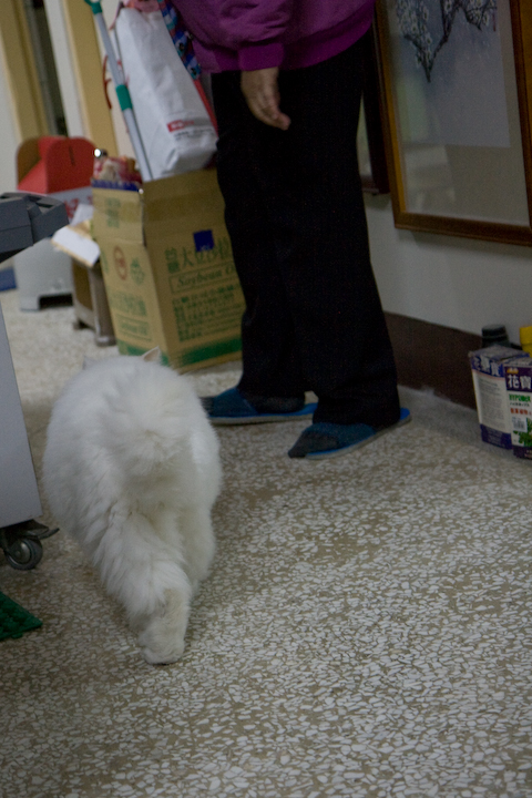 _MG_2673.jpg _MG_2673.jpg
