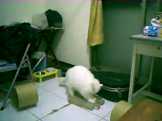 Video call snapshot 9.png