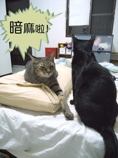 R0019071.jpg R0019071.jpg
