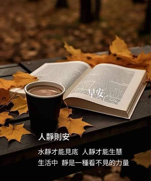 專心☆☆☆　人靜則安～～