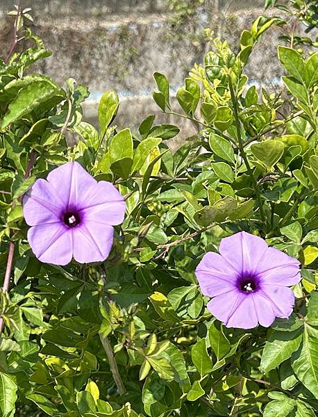 警察先生來銷案～～