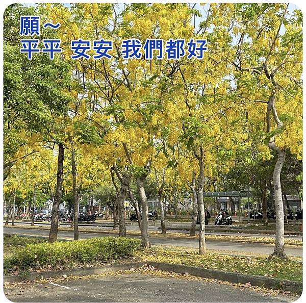 存錢好簡單　16個存錢好習慣