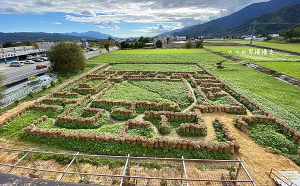 21年台東不可錯過的花海景點 米國學校稻草迷宮 媽咪拜mamibuy