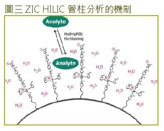 HILIC HPLC 分析技術簡介