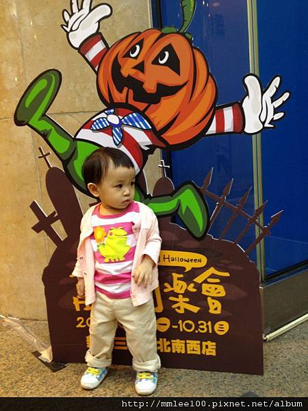 IMG_2931 IMG_2931