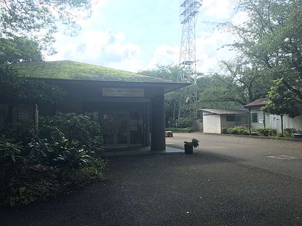 玩 日本東京 練馬石神井公園 來去日本的公園野餐去 小舞 名古屋生活 日常生活 不日常 痞客邦 玩 日本東京 練馬石神井公園 來去日本的公園野餐去 小舞 名古屋生活 日常生活 不日常 痞客邦