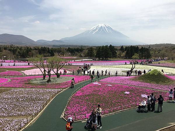 IMG_1175 (コピー).JPG IMG_1175 (コピー).JPG