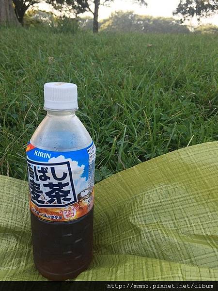IMG_3784 (コピー).JPG IMG_3784 (コピー).JPG
