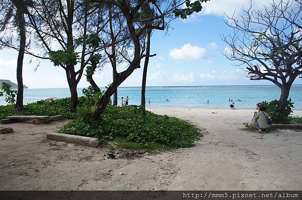 DSC08033 (コピー).JPG