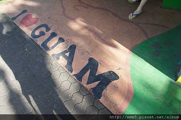 DSC08046 (コピー).JPG