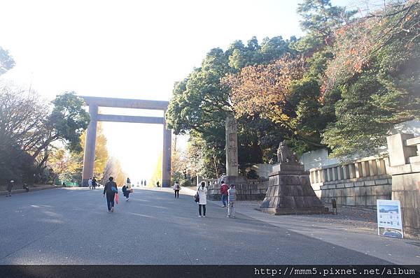 日本 東京/九段下 靖國神社2017銀杏景點