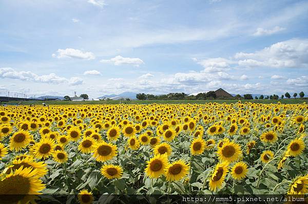 DSC04442.JPG DSC04442.JPG