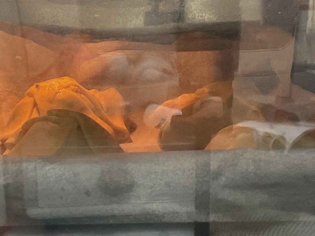 LINE_ALBUM_2022824_220824_8.jpg LINE_ALBUM_2022824_220824_8.jpg