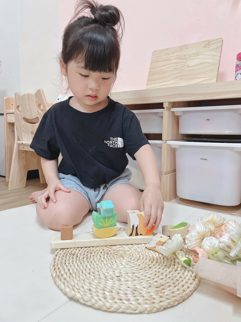 幼兒玩具推薦 | Tender Leaf 美國優質環保木製玩