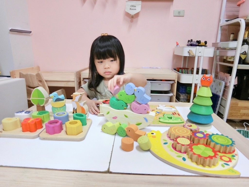 幼兒玩具推薦 | Tender Leaf 美國優質環保木製玩