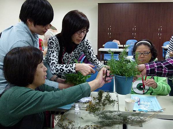 為了製作乾洗手液，大家分別摘 剪自己屬意的芳香植物。.JPG