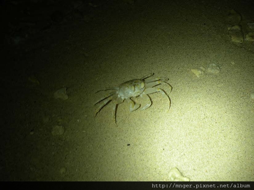 DSCN0747.jpg DSCN0747.jpg