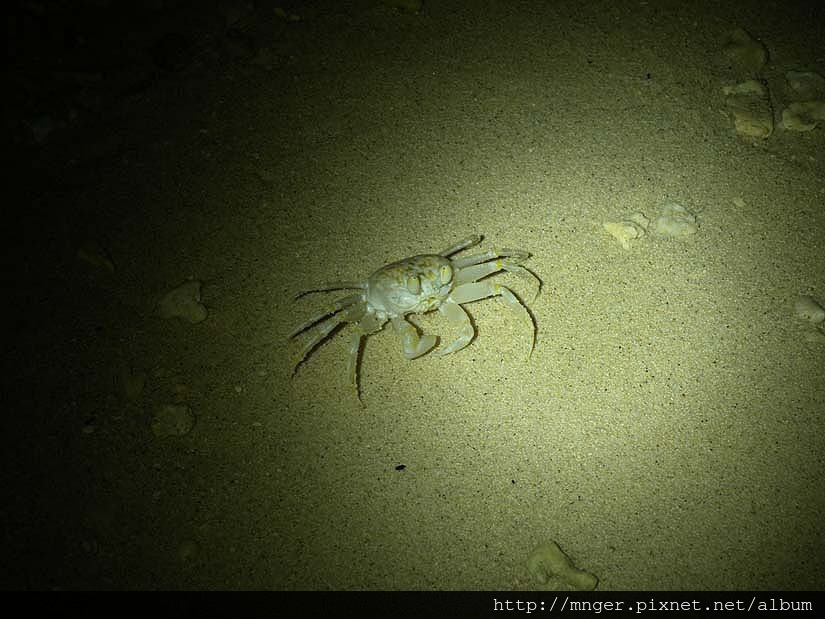 DSCN0746.jpg DSCN0746.jpg