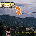 2011051001.jpg