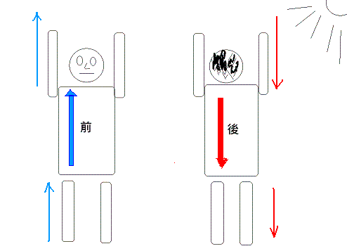 經脈陰陽走向01.GIF