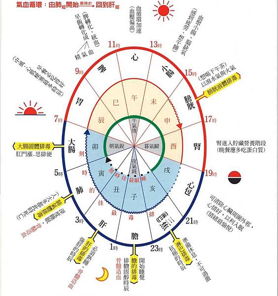 十二經脈順序