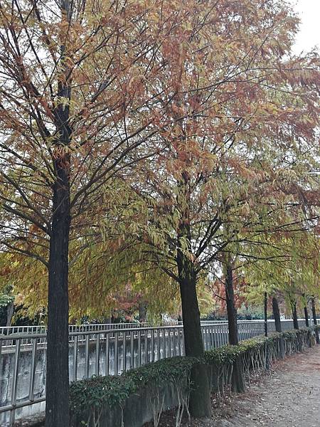 20170103_162610_Richtone(HDR) 20170103_162610_Richtone(HDR)