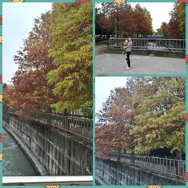 PhotoGrid_1483435594470 PhotoGrid_1483435594470