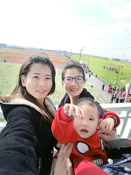 太保市花海1 太保市花海1