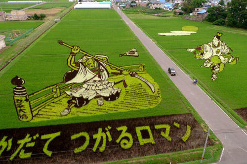 20100715-riceart2