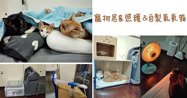 寵物居家照護分享自製寵物氧氣箱 (1).jpg 寵物居家照護分享自製寵物氧氣箱 (1).jpg