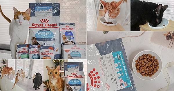 貓咪乾糧推薦,ROYAL CANIN法國皇家 泌尿道保健貓糧開箱 (1).jpg 貓咪乾糧推薦,ROYAL CANIN法國皇家 泌尿道保健貓糧開箱 (1).jpg