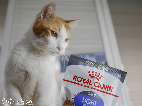 貓咪乾糧推薦，ROYAL CANIN法國皇家 泌尿道保健貓糧開箱 (25).jpg