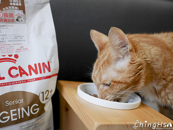 ROYAL CANIN 法國皇家 老貓專用乾糧A30+12、濕糧A30+12W開箱 (9).jpg