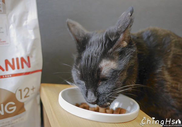 ROYAL CANIN 法國皇家 老貓專用乾糧A30+12、濕糧A30+12W開箱 (11).jpg