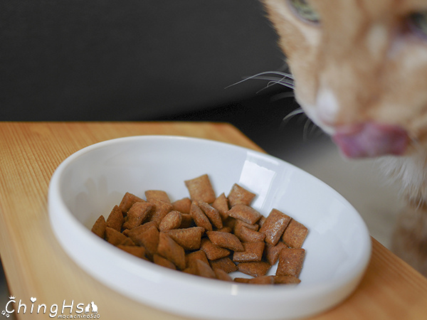 ROYAL CANIN 法國皇家 老貓專用乾糧A30+12、濕糧A30+12W開箱 (10).jpg