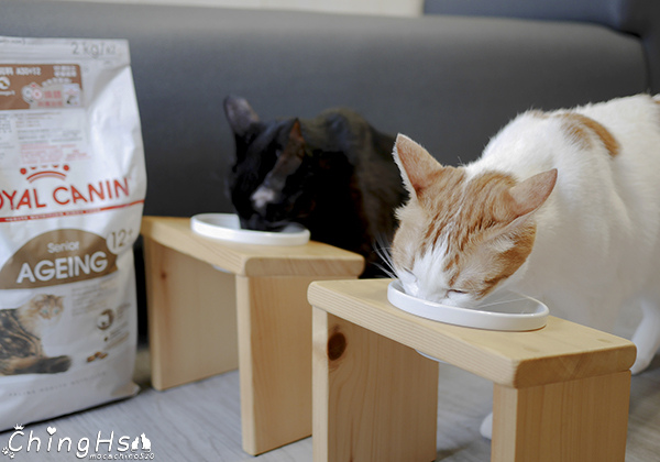 ROYAL CANIN 法國皇家 老貓專用乾糧A30+12、濕糧A30+12W開箱 (12).jpg