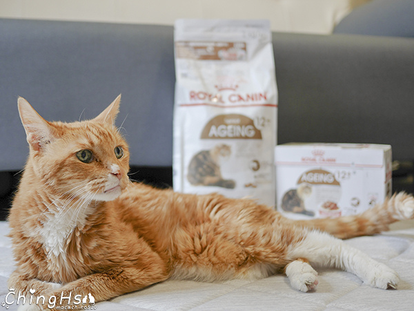 ROYAL CANIN 法國皇家 老貓專用乾糧A30+12、濕糧A30+12W開箱 (18).jpg