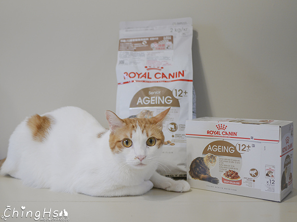 ROYAL CANIN 法國皇家 老貓專用乾糧A30+12、濕糧A30+12W開箱 (23).jpg
