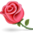 10-flower-rose