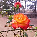 R1178913.JPG