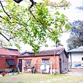 R1178915.JPG
