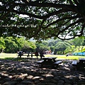 SAM_0519.JPG
