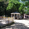SAM_0523.JPG