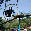 SAM_0547.JPG